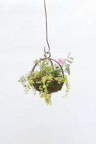 Slide View: 2: Sphere Rust Patina Hanging Basket, 10"