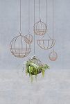 Thumbnail View 1: Sphere Rust Patina Hanging Basket, 10"