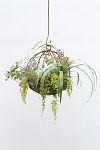 Thumbnail View 2: Sphere Rust Patina Hanging Basket, 14"