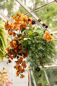 Slide View: 1: Sphere Rust Patina Hanging Basket, 14"