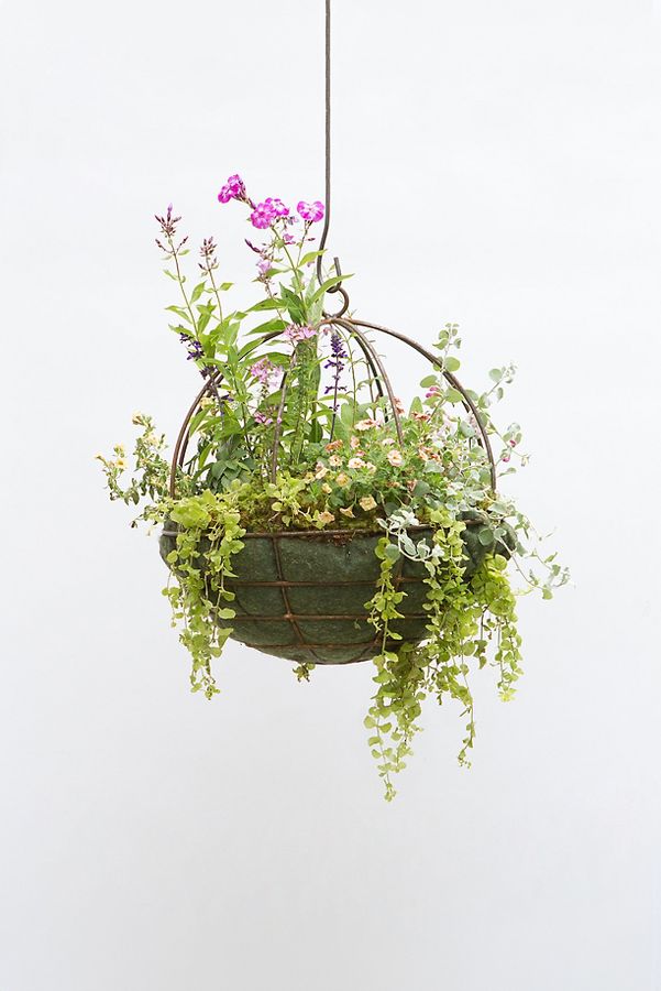 Slide View: 1: Sphere Rust Patina Hanging Basket, 18"