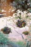 Thumbnail View 2: Zinc Sphere Hanging Basket, 10"