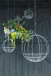 Thumbnail View 3: Zinc Sphere Hanging Basket, 10"