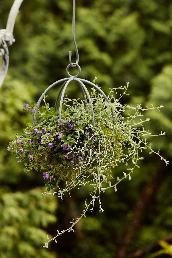 Slide View: 1: Zinc Sphere Hanging Basket, 10"