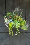 Thumbnail View 1: Zinc Sphere Hanging Basket, 14"