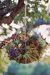 Thumbnail View 2: Zinc Sphere Hanging Basket, 18"