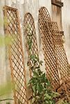 Thumbnail View 3: Rounded Top Willlow Trellis, Large