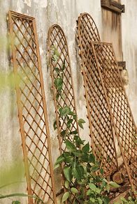 Slide View: 3: Rounded Top Willlow Trellis, Large