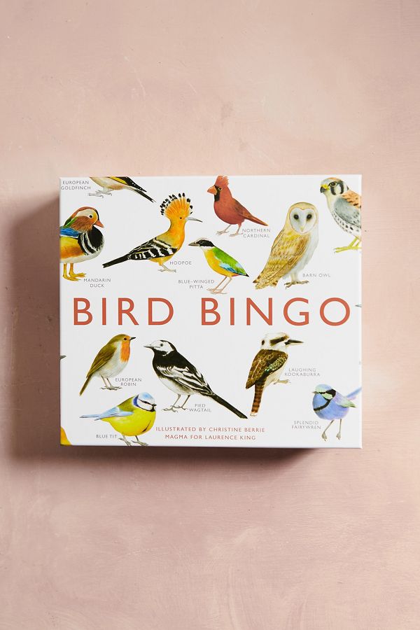 Slide View: 1: Bird Bingo