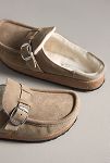 Thumbnail View 3: Birkenstock Buckley Shearling Clogs