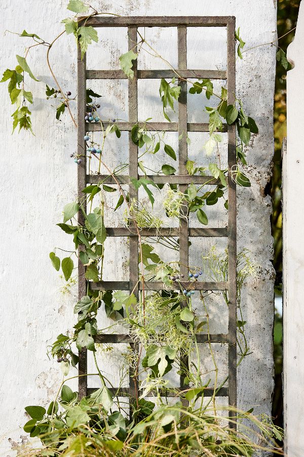 Slide View: 4: Iron Wall Trellis