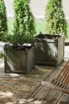 Thumbnail View 4: Square Galvanized Planter, 18"