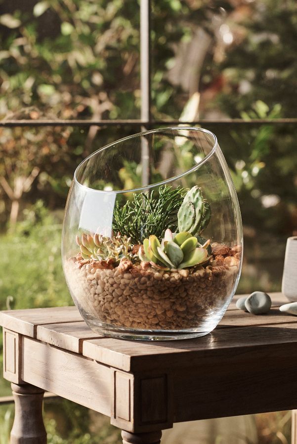 Slide View: 1: Half Cut Glass Terrarium