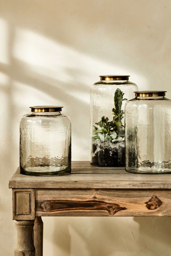 Slide View: 1: Hammered Glass Terrarium with Lid