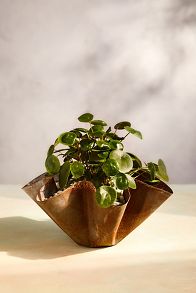 Slide View: 1: Handkerchief Iron Bowl Planter, 16"