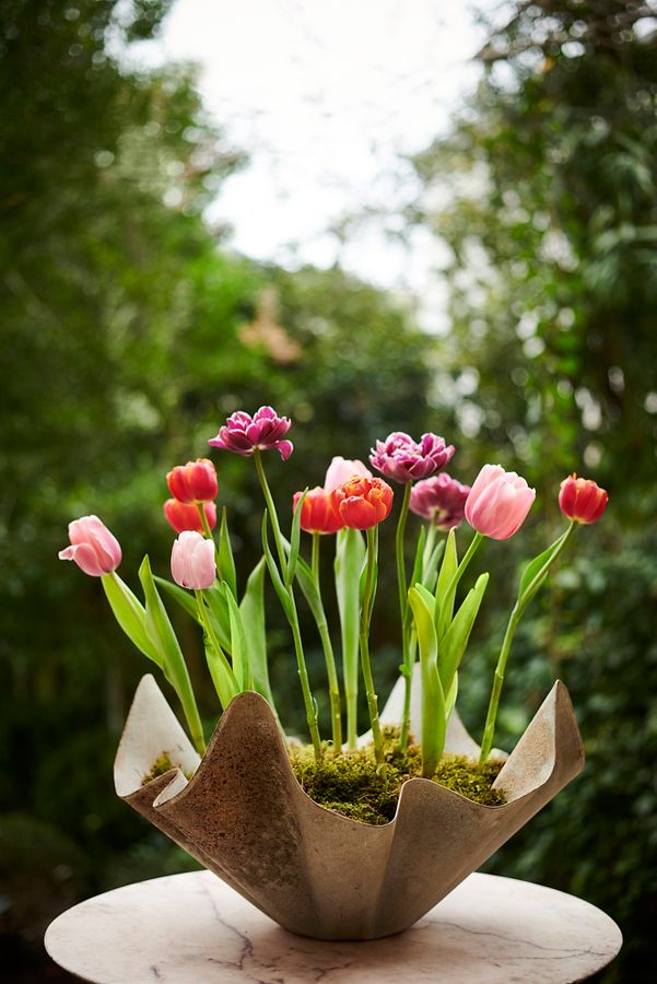 Slide View: 1: Handkerchief Iron Bowl Planter, 20"