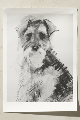 schnauzer wall art