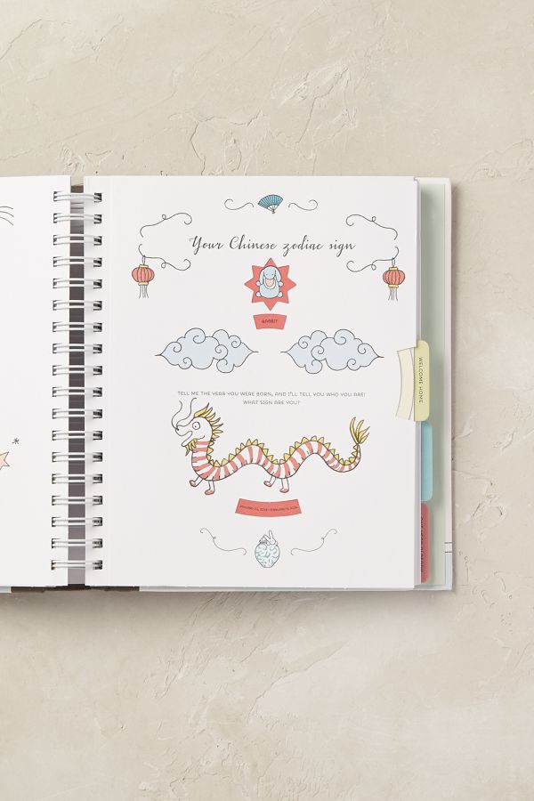 Livre Le Petit Baby Book Anthropologie Fr
