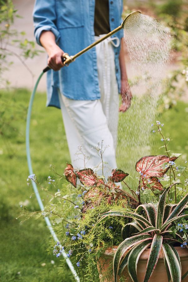 Slide View: 1: Haws Brass Watering Lance