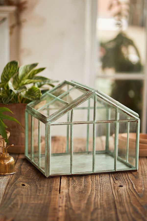 Slide View: 3: Greenhouse Verdigris Iron Terrarium