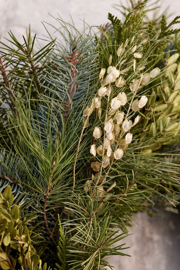 Slide View: 3: Fresh Noble Fir + Boxwood Wreath