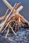 Thumbnail View 2: Firestarter Beeswax Pine Cones