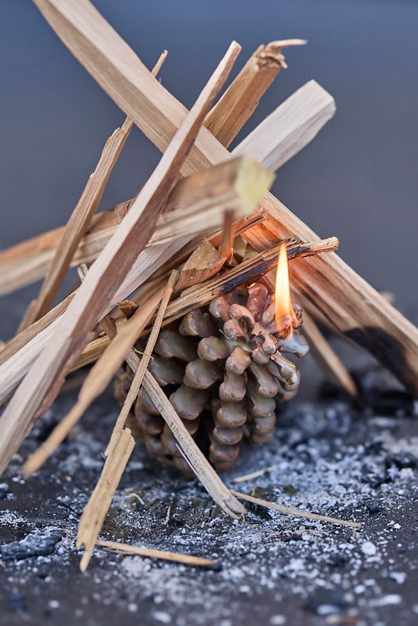 Slide View: 2: Firestarter Beeswax Pine Cones