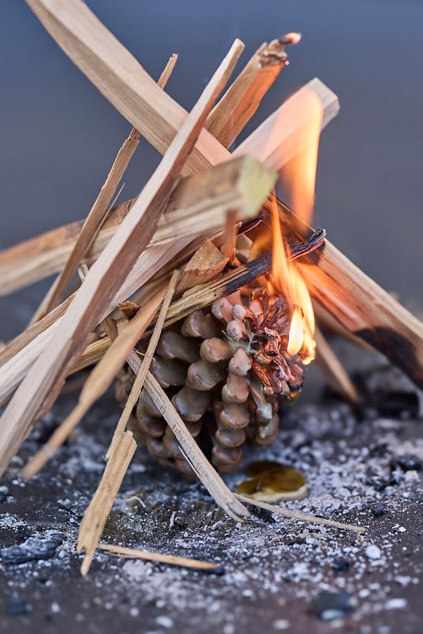 Slide View: 1: Firestarter Beeswax Pine Cones