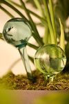 Thumbnail View 1: Watering Globes, Set of 2