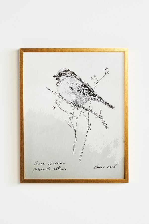 Slide View: 1: Sparrow Wall Art