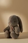 Thumbnail View 1: Bunny Stuffed Animal