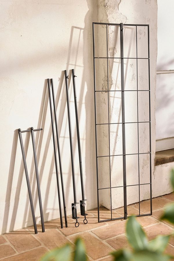 Slide View: 6: Over-the-Table Trellis