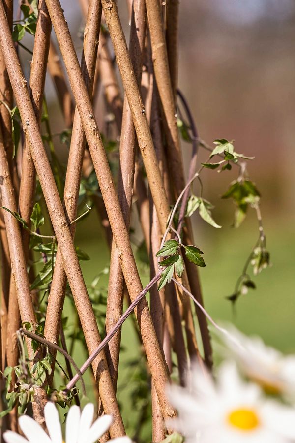 Slide View: 3: Woven Willow Cone Obelisk