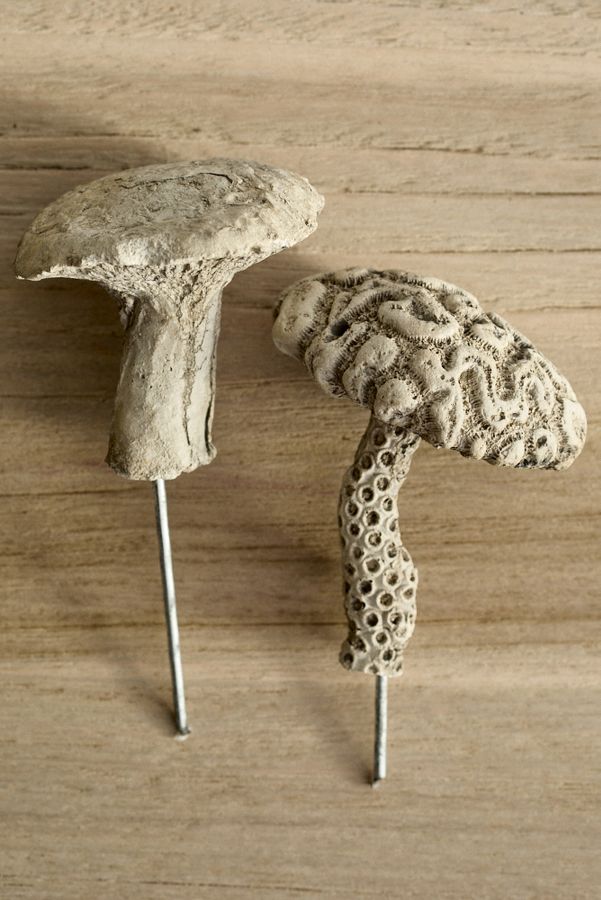 Slide View: 3: Hermes Mushroom Concrete Pick