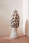 Thumbnail View 2: Concrete Morel Mushroom