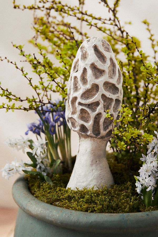 Slide View: 1: Concrete Morel Mushroom