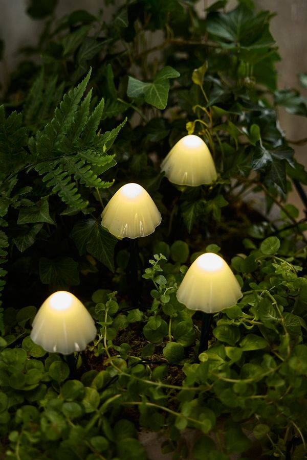 Slide View: 1: Stargazer Nature Effects Solar Mushroom Lights