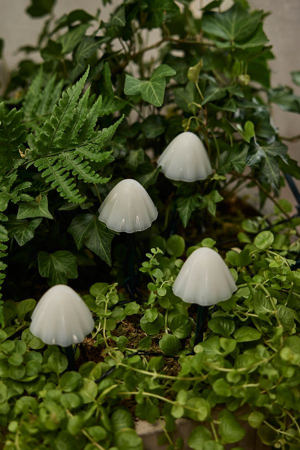 Slide View: 2: Stargazer Nature Effects Solar Mushroom Lights