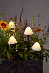 Thumbnail View 3: Stargazer Nature Effects Solar Mushroom Lights