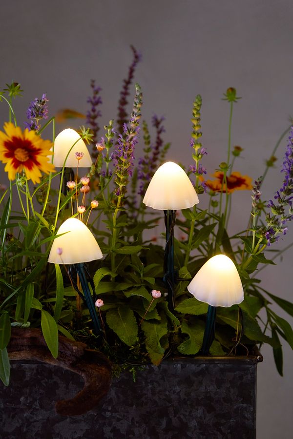 Slide View: 3: Stargazer Nature Effects Solar Mushroom Lights