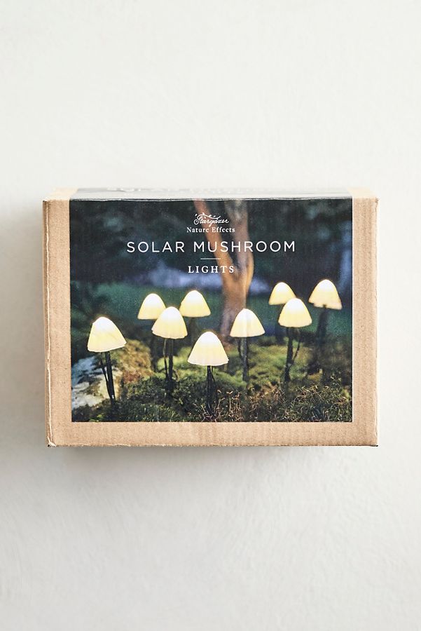 Slide View: 4: Stargazer Nature Effects Solar Mushroom Lights