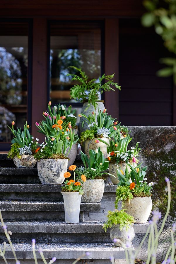 Slide View: 2: Barnacle Cone Planter, 11”