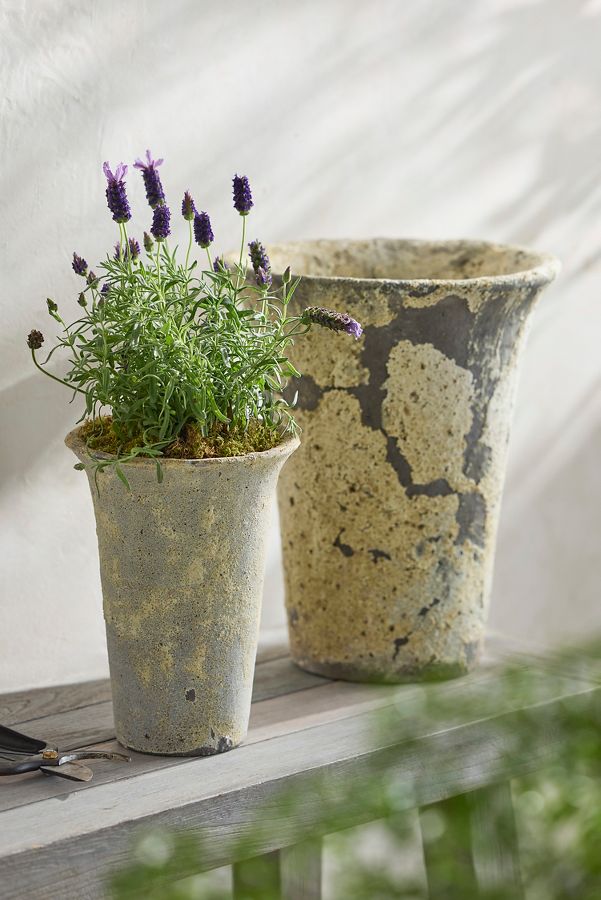 Slide View: 3: Barnacle Cone Planter, 11”