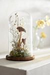 Thumbnail View 1: Fungi Forest Dried Terrarium