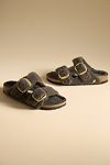 Thumbnail View 2: Birkenstock Arizona Big Buckle Teddy Sandals