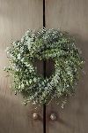 Thumbnail View 2: Fresh Baby Blue Eucalyptus Wreath