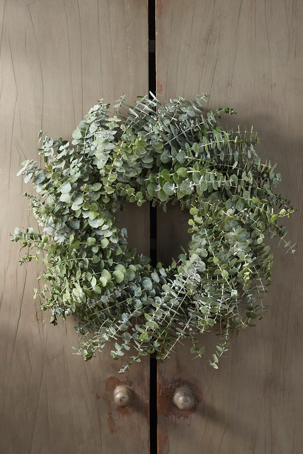 Slide View: 2: Fresh Baby Blue Eucalyptus Wreath