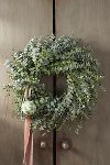 Thumbnail View 1: Fresh Baby Blue Eucalyptus Wreath