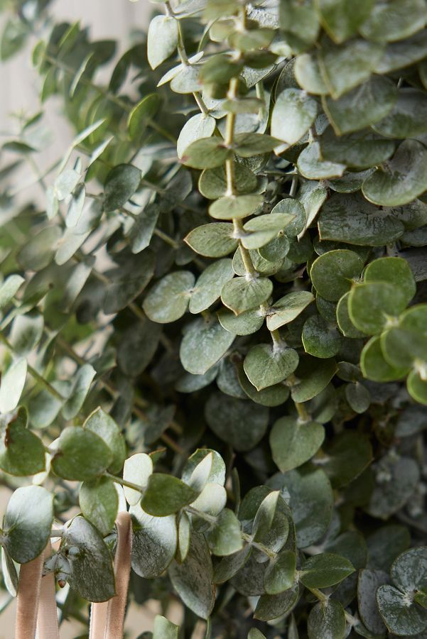 Slide View: 4: Fresh Baby Blue Eucalyptus Wreath