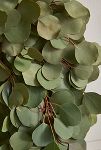 Thumbnail View 2: Fresh Silver Dollar Eucalyptus Wreath